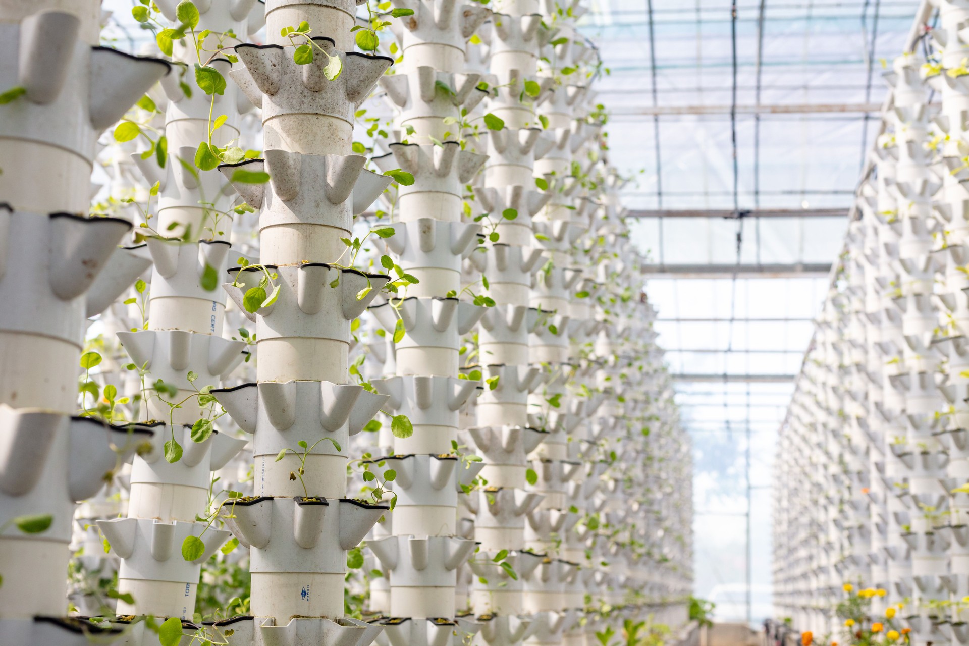 Hydroponics production method farm