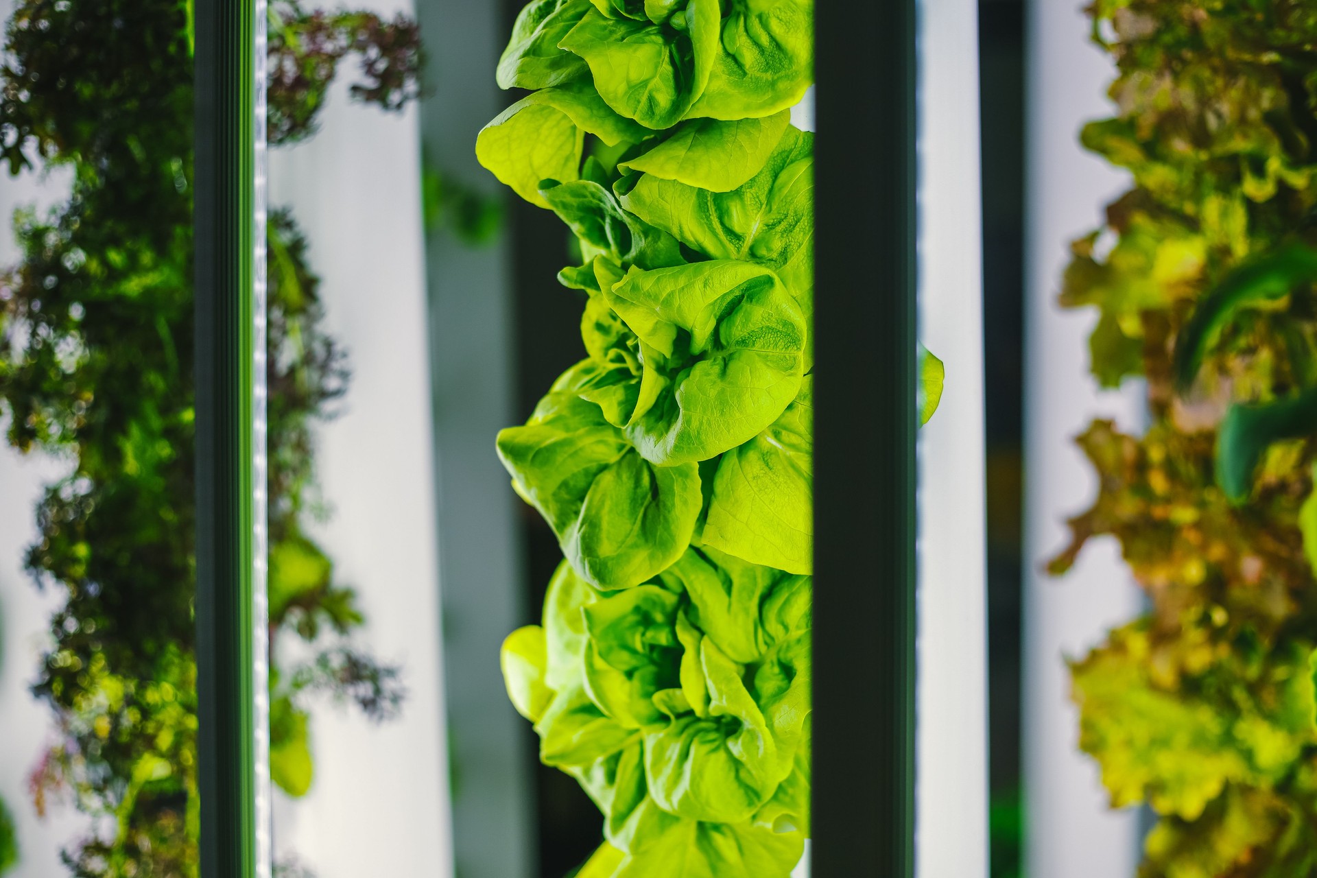 Vertical farming